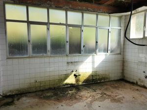 FI053 - FINCA EN UJO CON EDIFICIO - interior